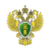 Прокуратура Республики Башкортостан Прокуратура Республики Башкортостан